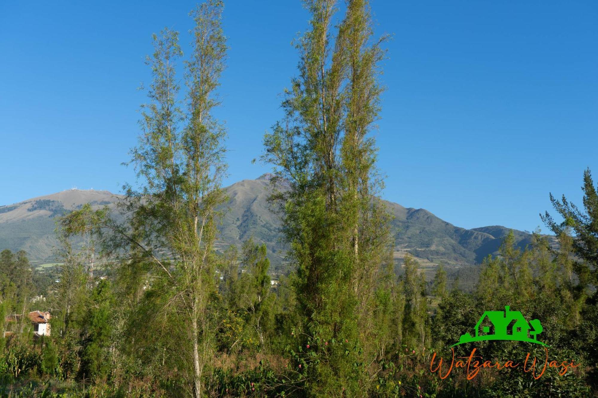 Watzara Wasi Cottage Familiar Camprestre Y Lofts En Cotacachi Kültér fotó
